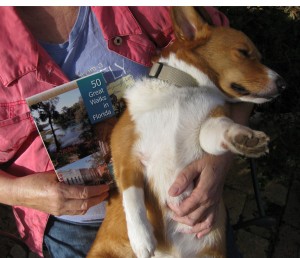 obi&book