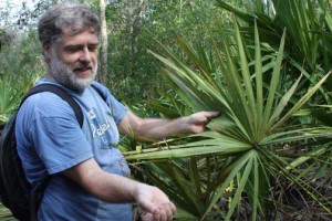 mark stowe shows walking sticks on underside of a palmetto leaf at Sweetwater preserve