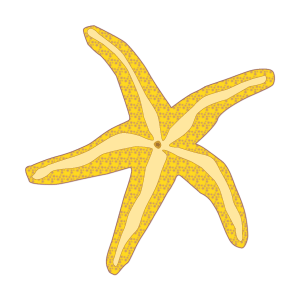 Lessons Learned from Stranded Starfish