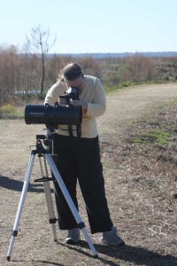 sandhill cranes - photographer