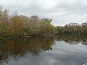 DeLeon Springs boat tours