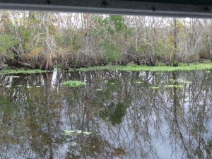 DeLeon Springs Boat Tour