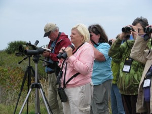 Florida birding - field trip