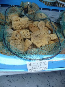 Tarpon Springs sponges