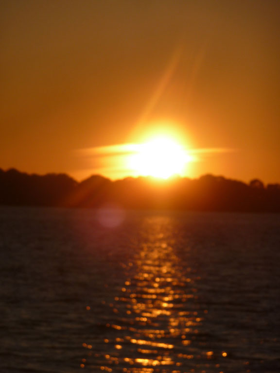 Watch the Sunset in Cedar Key with your Canine