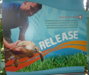 turtle release sign
