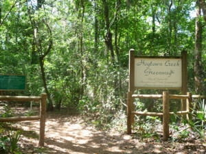 hogtown greenway in Gainesville