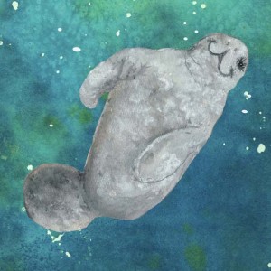 Mary Margaret Manatee. Original illustration by Lucy Beebe Tobias
