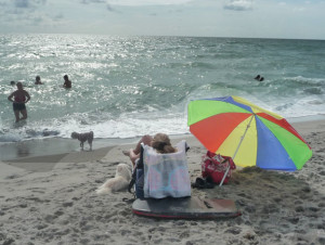 paw park in Venice has a beach