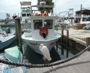Seafood fresh every day - fishing boat at Star Fish Company, Cortez