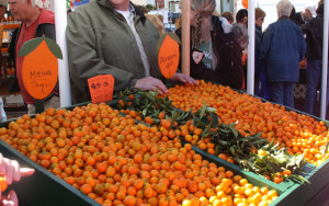 Dade City has an annual kumquat festival