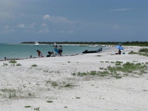 Florida beaches - Cayo Costa