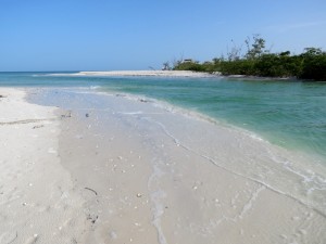 Florida beaches - Clam Pass