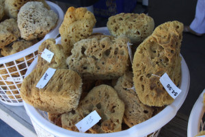 GO Greek - Sponges from the Gulf of Mexico, in Tarpon Springs, Florida. Photo by Lucy Beebe Tobias