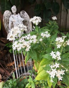 garden statue - angel