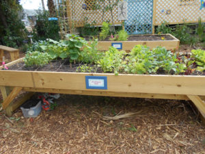 Old Cedar Key Walking Tour - community garden