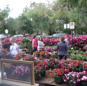 winter park farmers market