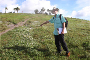 Marc Minno finds butterflies at theCelery Fields