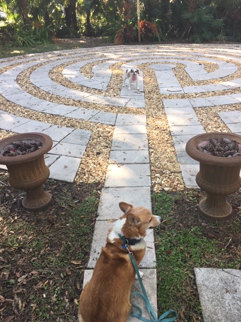 looking for labyrinths at Unity of Sarasota

