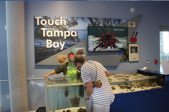 St. Pete Pier has a Tampa Bay Discovery center worth visiting