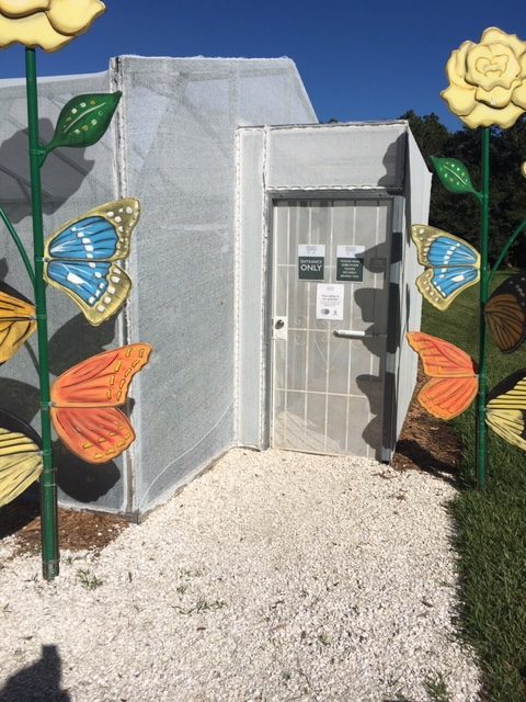 Butterfly House at Spanish Point, Osprey. Photo by Lucy Tobias