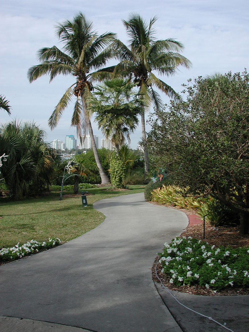 Walkway at Marie Selby Botanical Gardens