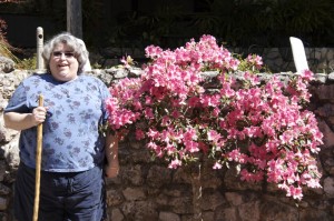 Azaleas in bloom at Rainbow Springs State Park