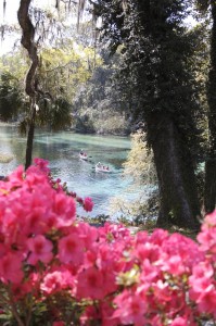 Rainbow Springs state park - Headwaters of Rainbow River. Note canoeists on the river. Photo By Lucy Beebe Tobias