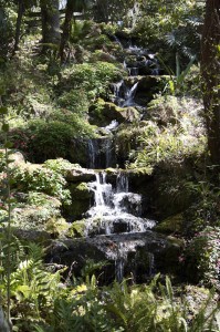 waterfall at Rainbow Springs State Park. Photo by Lucy Beebe Tobias