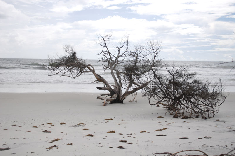 Beach at Little Talbot Island State Park