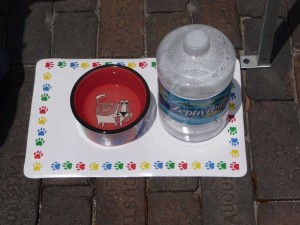 Dog friendly - dog water bowl in Sanford, Florida