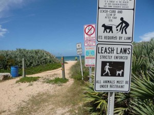 dog friendly beaches -Dog signs at Ginn Hammock Beach, Palm Coast Florida