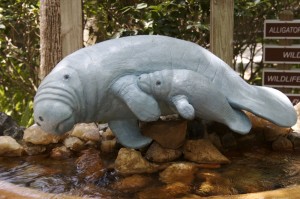 manatee festivals - manatee statue