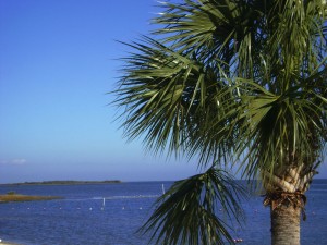 Funky Florida - Cedar Key City Park