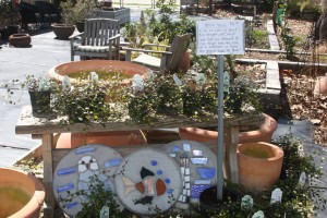 Apalachicola - garden shop