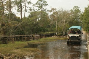 charlotte harbor things to do