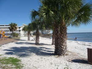 Cedar Key city park beach