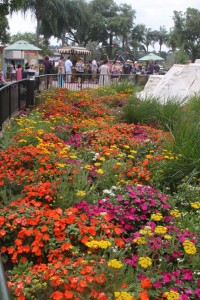 garden festivals - Epcot