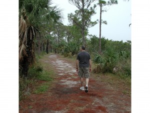 Florida state parks - Honeymoon Island State Park