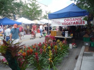 visit Sarasota - downtown Saturday farmers market