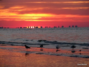 Floarida beaches - sunset