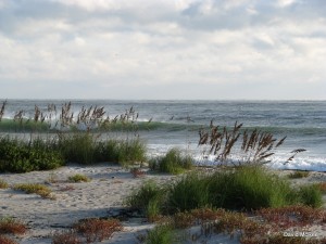 Floarida beaches - Beach scene