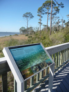 Pensacola - walkway