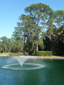 Pond at Sholom Park, Ocala. Photo by Lucy Beebe Tobias