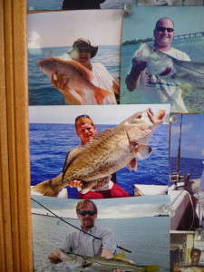 fishing - fish pics