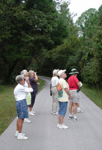 BIrds - Birders on Pepper Creek Trail. Homosassa Springs Wildlife State Park