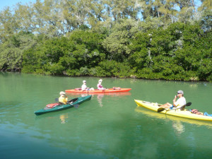 water tours - kayaking in Sarasota Bay