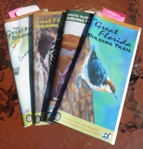 birds - the Great Florida birding trail section guides