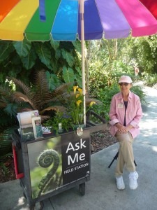Volunteer in Florida - bonnie Sexton is a volunteer at Selby Gardens, Sarasota