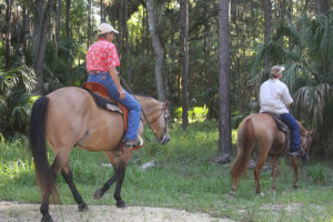 horseback riding - on the trail at Silver River State Park, Ocala